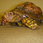 Life size turtle prop.